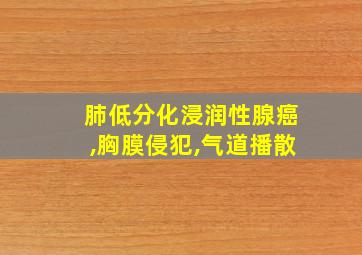 肺低分化浸润性腺癌,胸膜侵犯,气道播散