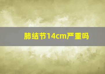 肺结节14cm严重吗