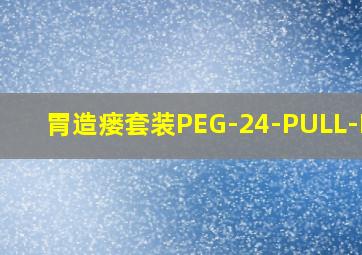 胃造瘘套装PEG-24-PULL-I-3