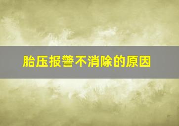 胎压报警不消除的原因