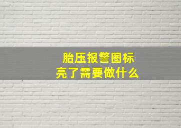 胎压报警图标亮了需要做什么