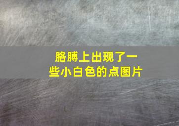 胳膊上出现了一些小白色的点图片