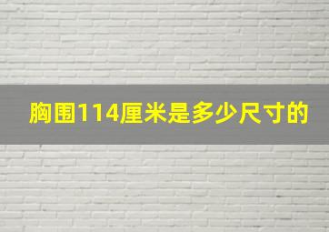 胸围114厘米是多少尺寸的