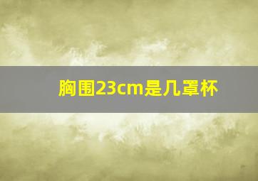 胸围23cm是几罩杯