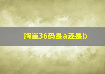 胸罩36码是a还是b