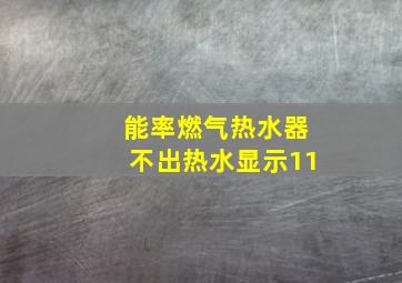 能率燃气热水器不出热水显示11