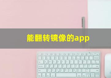 能翻转镜像的app