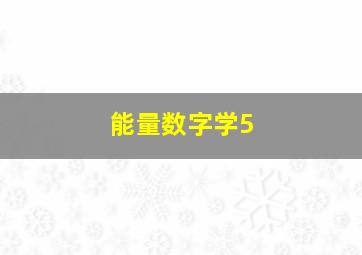 能量数字学5