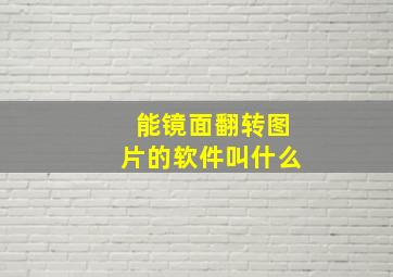 能镜面翻转图片的软件叫什么