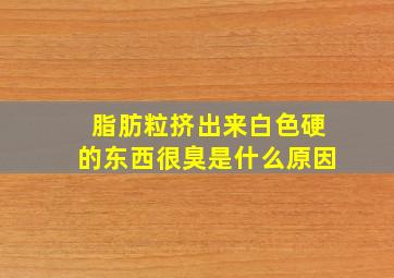 脂肪粒挤出来白色硬的东西很臭是什么原因