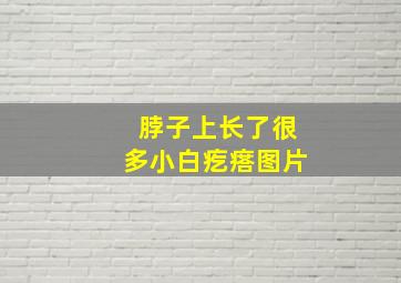 脖子上长了很多小白疙瘩图片