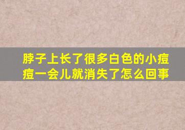 脖子上长了很多白色的小痘痘一会儿就消失了怎么回事