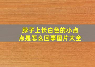 脖子上长白色的小点点是怎么回事图片大全