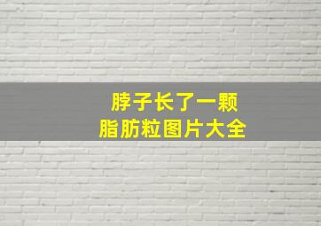 脖子长了一颗脂肪粒图片大全