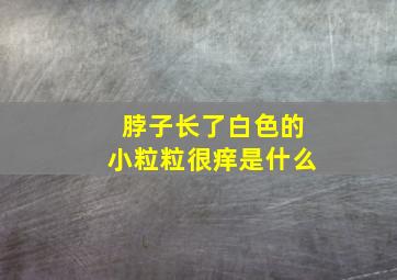 脖子长了白色的小粒粒很痒是什么