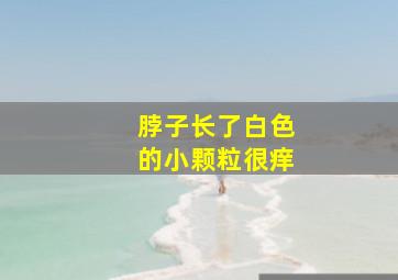 脖子长了白色的小颗粒很痒