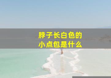 脖子长白色的小点包是什么