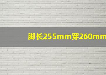 脚长255mm穿260mm