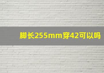 脚长255mm穿42可以吗