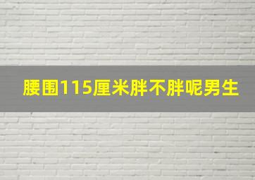 腰围115厘米胖不胖呢男生