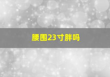 腰围23寸胖吗