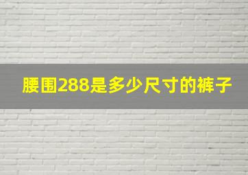 腰围288是多少尺寸的裤子