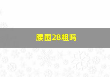 腰围28粗吗