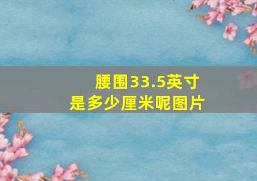 腰围33.5英寸是多少厘米呢图片