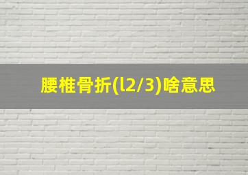 腰椎骨折(l2/3)啥意思