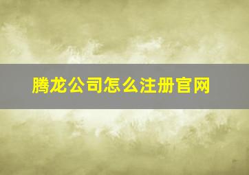 腾龙公司怎么注册官网