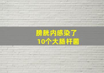 膀胱内感染了10个大肠杆菌