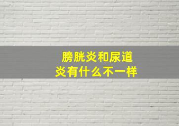 膀胱炎和尿道炎有什么不一样