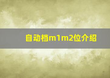 自动档m1m2位介绍