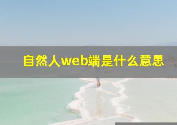 自然人web端是什么意思