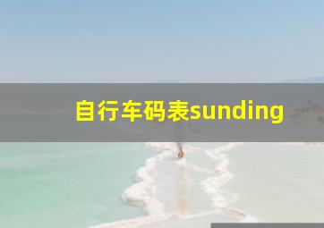 自行车码表sunding