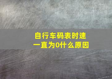 自行车码表时速一直为0什么原因