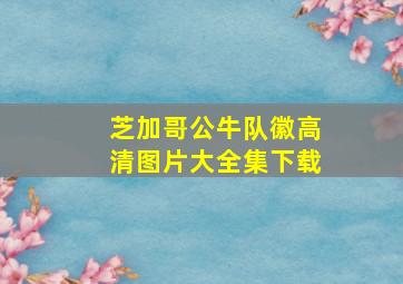 芝加哥公牛队徽高清图片大全集下载