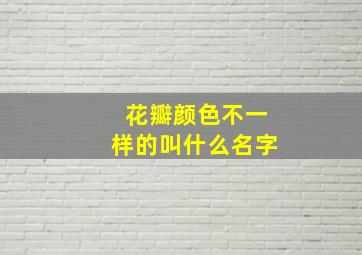 花瓣颜色不一样的叫什么名字