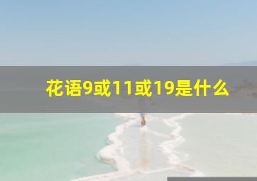 花语9或11或19是什么