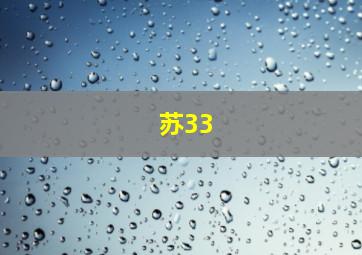 苏33