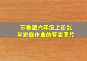 苏教版六年级上册数学家庭作业的答案图片