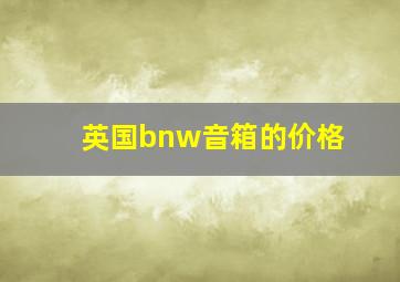 英国bnw音箱的价格