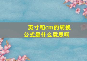 英寸和cm的转换公式是什么意思啊