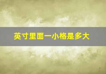 英寸里面一小格是多大