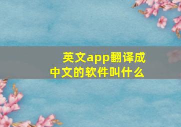 英文app翻译成中文的软件叫什么