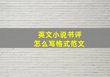 英文小说书评怎么写格式范文