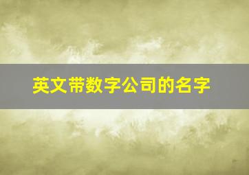 英文带数字公司的名字