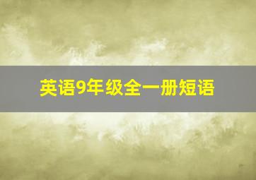 英语9年级全一册短语