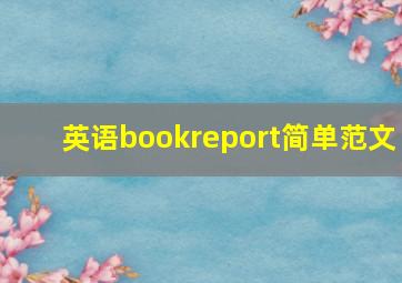 英语bookreport简单范文