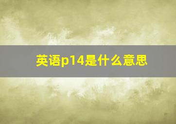 英语p14是什么意思